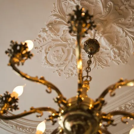 Ck58 Bed & Breakfast Haag